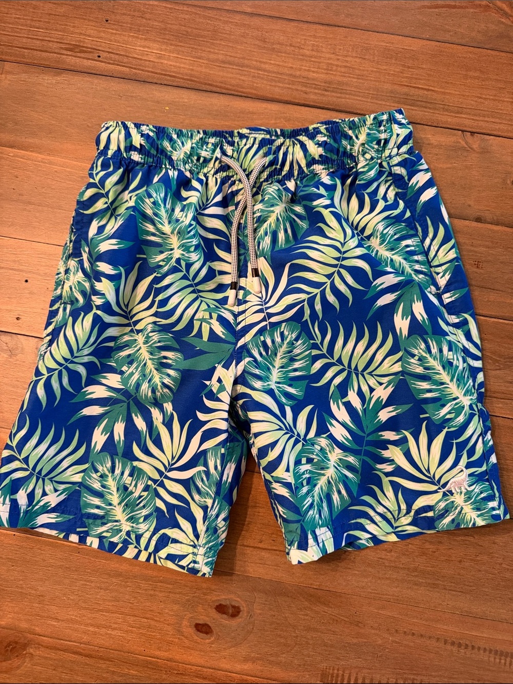 Tropical Leaf Print Men's Swim Trunks in Blue